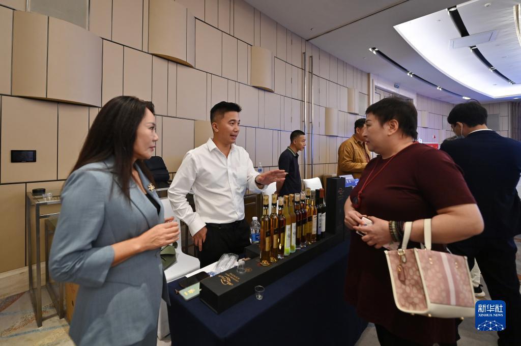 波克捕鱼微信qq新版下载